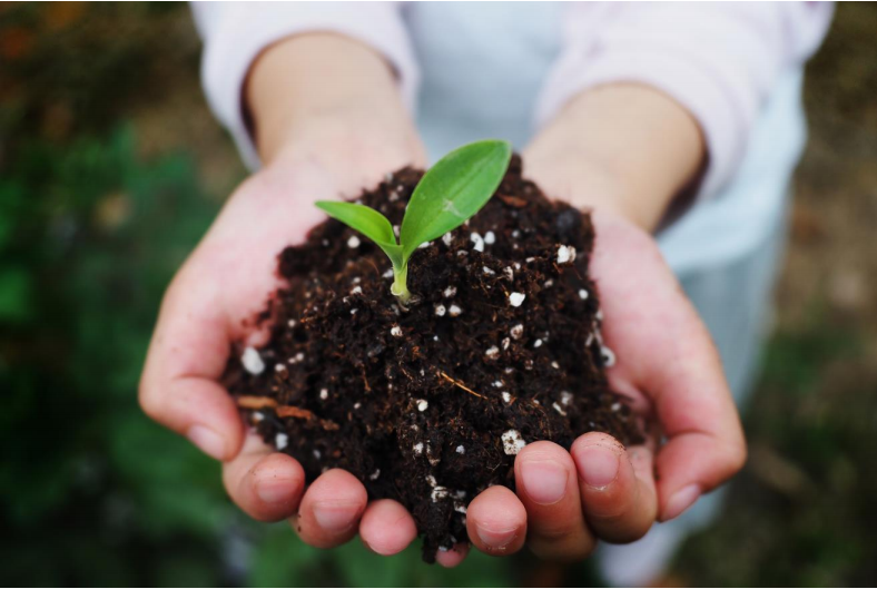 巴斯夫攜手彤程新材料集團在中國合作生產經 認 證可堆 肥共聚酯 (PBAT)(圖2)