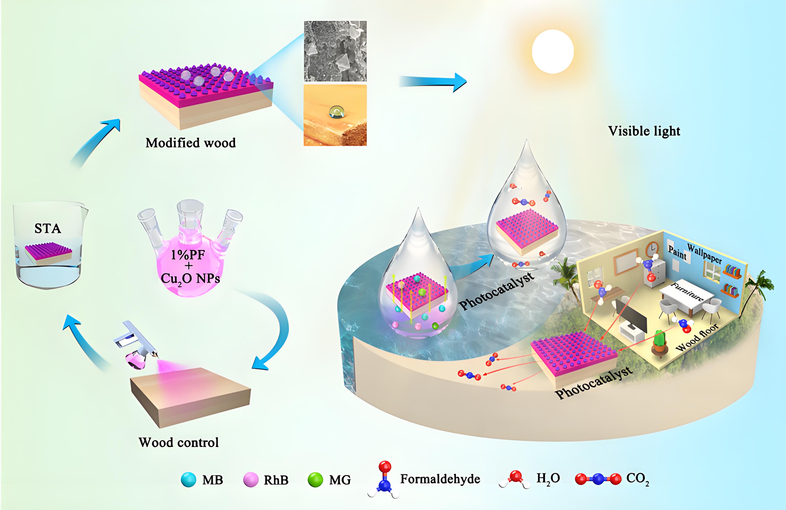 光降解和生物降解塑料袋區別?(圖1)