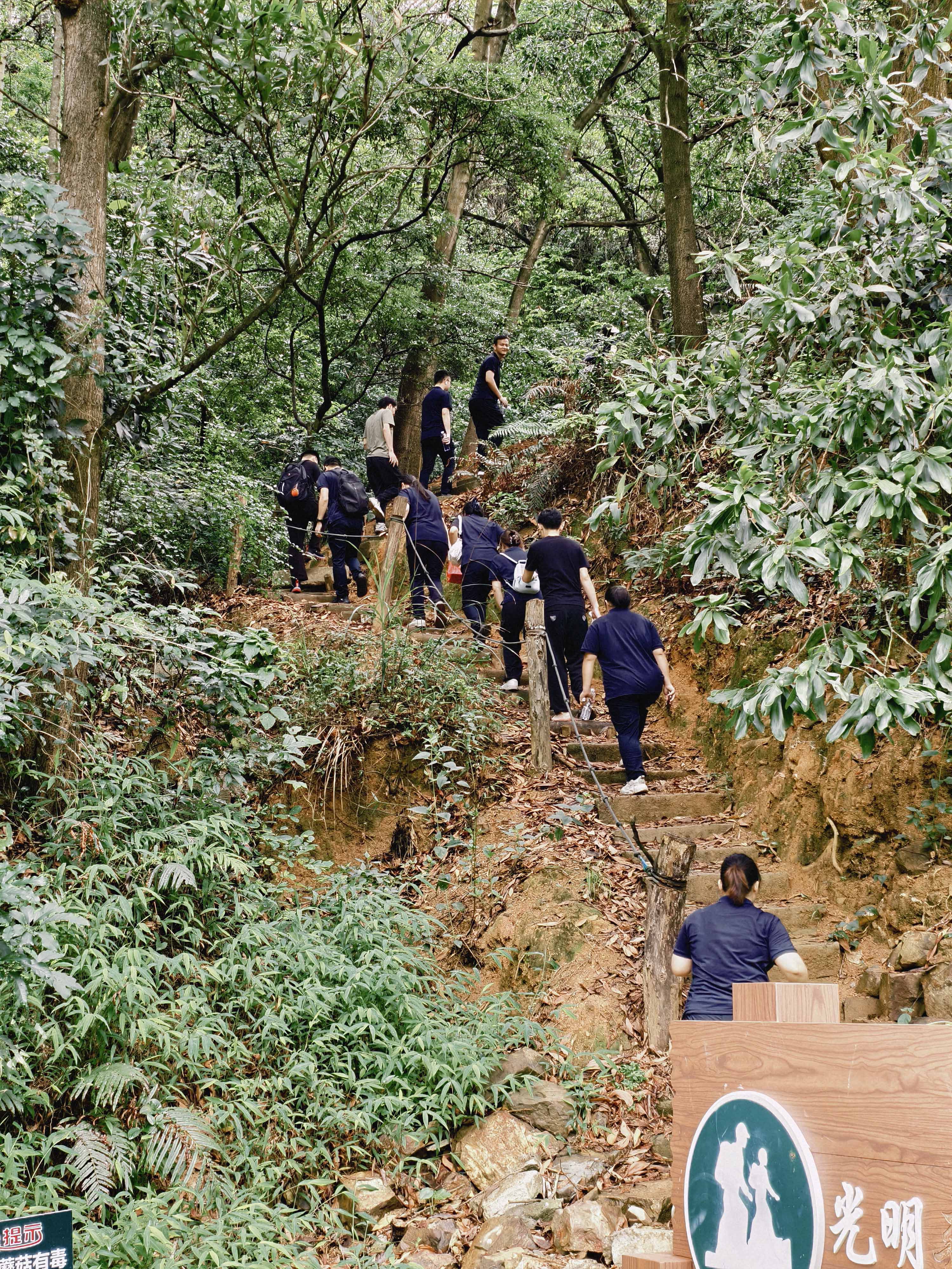 久信達科技公司員工齊聚光明區(qū)蠄蜍石,開啟活力爬山之旅暨團建活動(圖2)