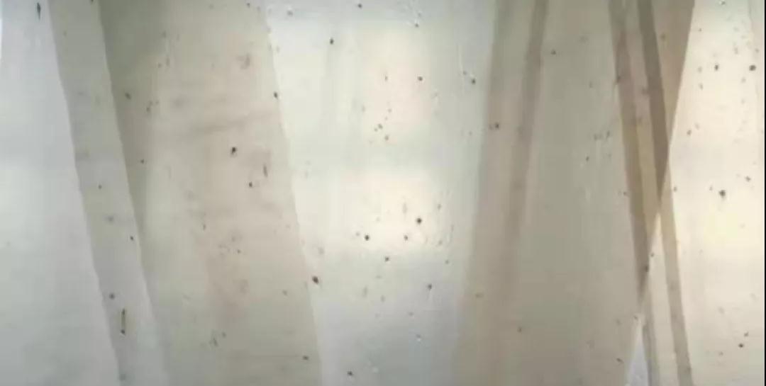 PBAT膜袋有黑點是什么原因?(圖1)